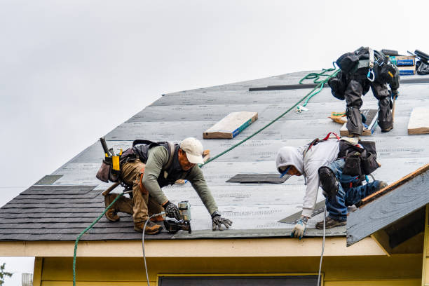 Professional Roofing technician working in Freeville, NY